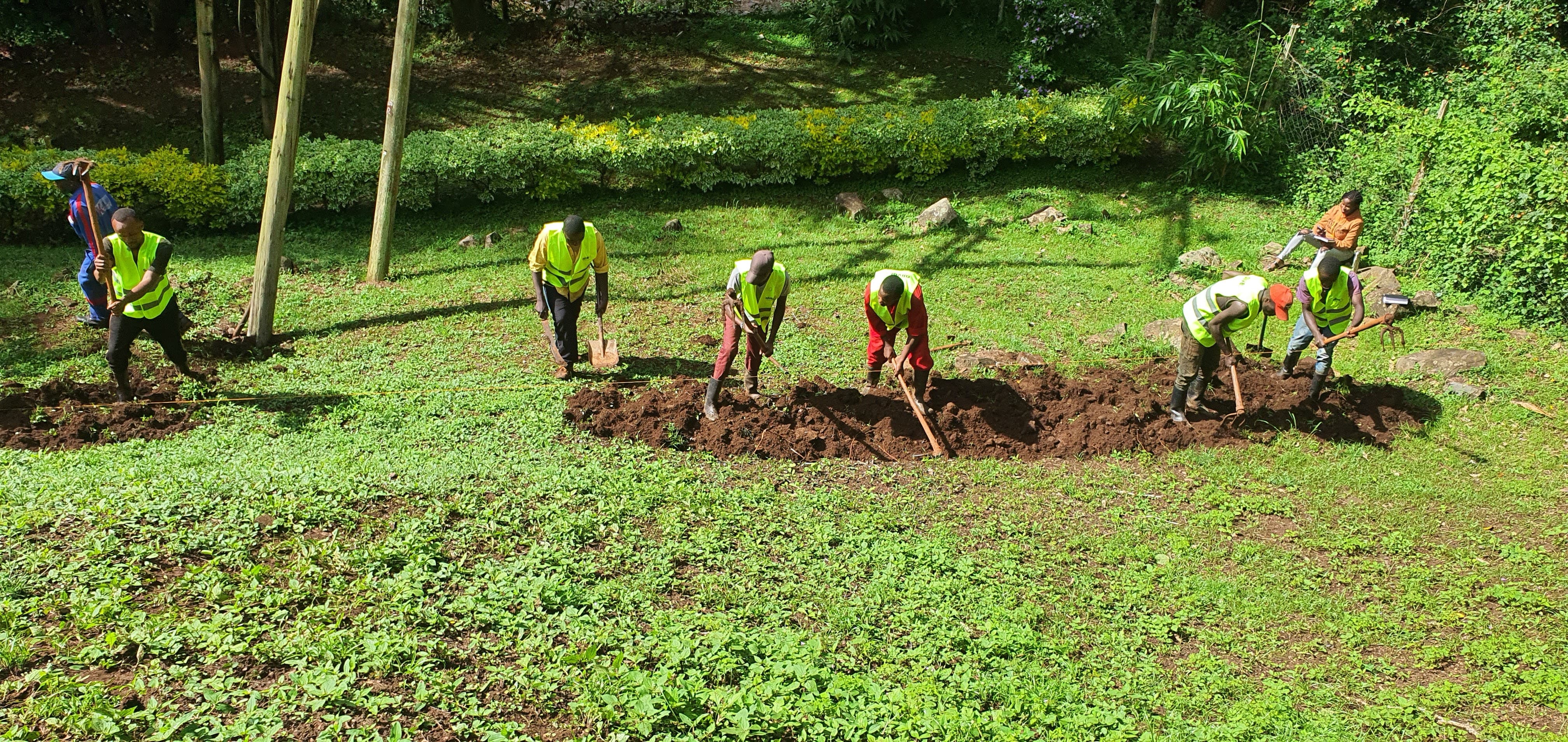 Electrical Works